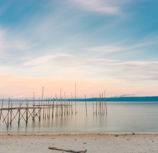 Туры на о. Сулавеси 2025 - цены на путевки в Индонезию из Москвы от туроператора «Пегас Туристик» Туры на о. Сулавеси 2025 - цены на путевки в Индонезию из Москвы от туроператора «Пегас Туристик»