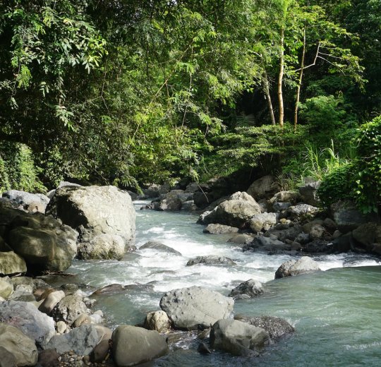 Туры на о. Сулавеси 2025 - цены на путевки в Индонезию из Москвы от туроператора «Пегас Туристик» Туры на о. Сулавеси 2025 - цены на путевки в Индонезию из Москвы от туроператора «Пегас Туристик»