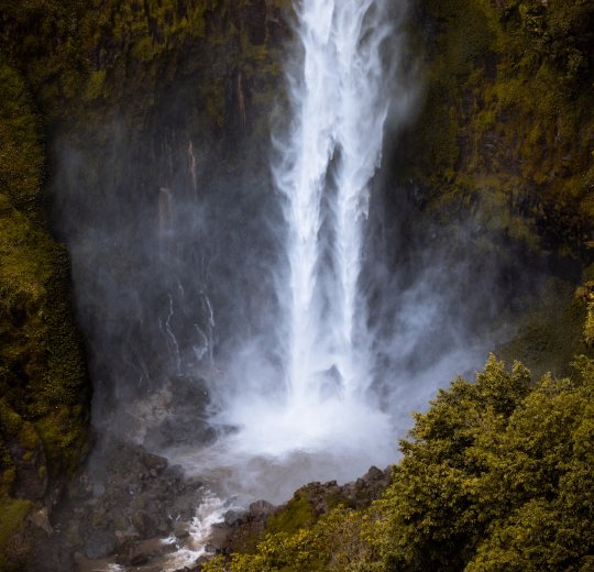 Туры на о. Суматра 2025 - цены на путевки в Индонезию из Москвы от туроператора «Пегас Туристик»