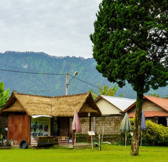 Туры в Денпасар 2025 - цены на путевки в Индонезию из Москвы от туроператора «Пегас Туристик»