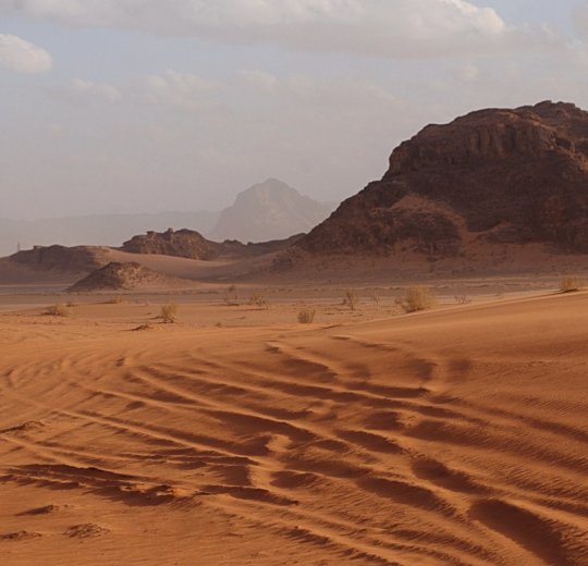 Туры в Иорданию 2025 из Москвы - цена на отдых от туроператора «Пегас Туристик»