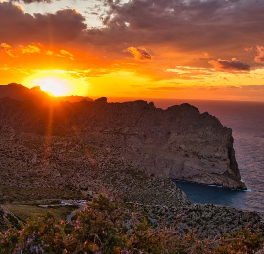 Туры на Майорку 2025 - цены на путевки в Испанию из Москвы от туроператора «Пегас Туристик» Туры на Майорку 2025 - цены на путевки в Испанию из Москвы от туроператора «Пегас Туристик»