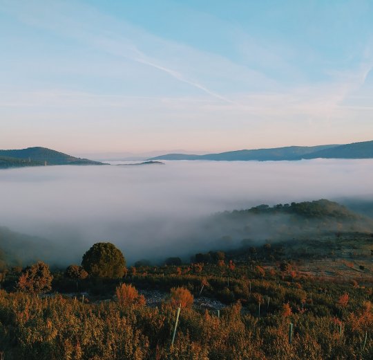 Туры в Бадахос 2025 - цены на путевки в Испанию из Москвы от туроператора «Пегас Туристик»