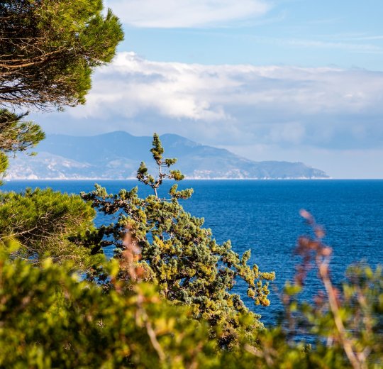 Туры в Коста Дель Азар 2025 - цены на путевки в Испанию из Москвы от туроператора «Пегас Туристик»