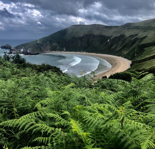 Туры в Астурию 2025 - цены на путевки в Испанию из Москвы от туроператора «Пегас Туристик»