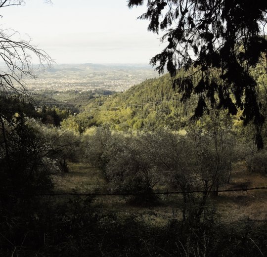 Туры во Флоренцию 2025 - цены на путевки в Италию из Москвы от туроператора «Пегас Туристик»