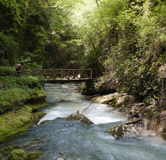 Туры в Монтегротто-Терме 2025 - цены на путевки в Италию из Москвы от туроператора «Пегас Туристик»