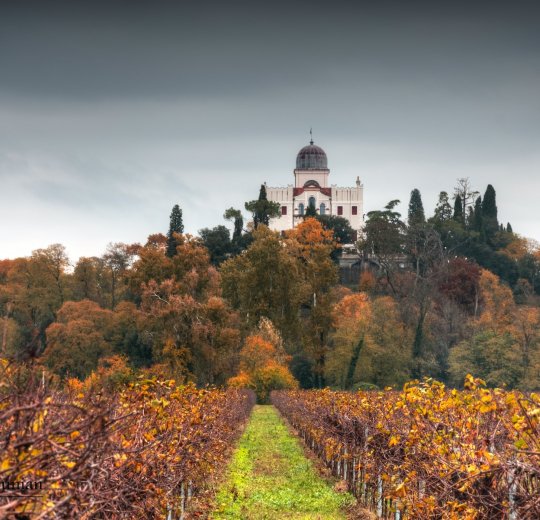 Туры в Абано-Терме 2025 - цены на путевки в Италию из Москвы от туроператора «Пегас Туристик»