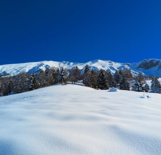 Туры в Альта Валтелину 2025 - цены на путевки в Италию из Москвы от туроператора «Пегас Туристик»