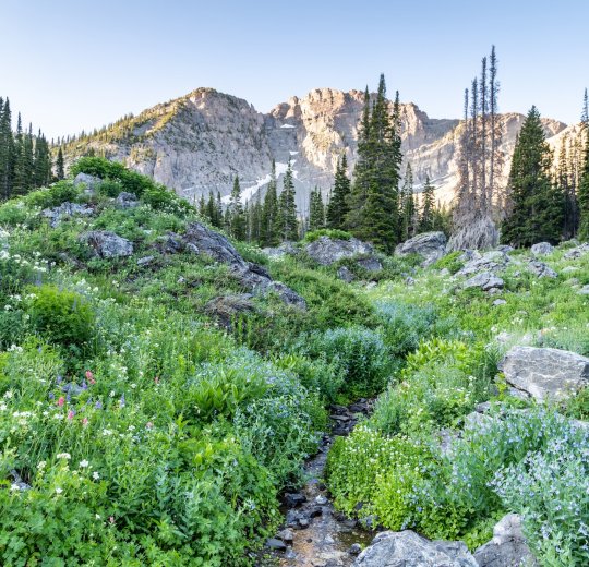 Туры в Альта Валтелину 2025 - цены на путевки в Италию из Москвы от туроператора «Пегас Туристик»