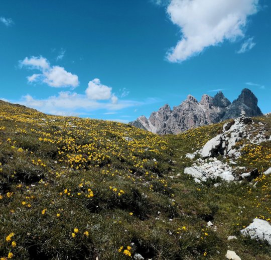 Туры в Доломитовые Альпы 2025 - цены на путевки в Италию из Москвы от туроператора «Пегас Туристик» Туры в Доломитовые Альпы 2025 - цены на путевки в Италию из Москвы от туроператора «Пегас Туристик»