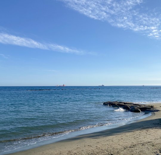 Туры в Лимассол 2025 - цены на путевки на Кипр из Москвы от туроператора «Пегас Туристик»