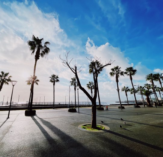 Туры в Лимассол 2025 - цены на путевки на Кипр из Москвы от туроператора «Пегас Туристик»