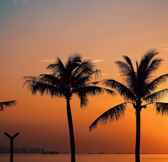 Туры на о.Хайнань 2025 - цены на путевки в Китай из Москвы от туроператора «Пегас Туристик» Туры на о.Хайнань 2025 - цены на путевки в Китай из Москвы от туроператора «Пегас Туристик»