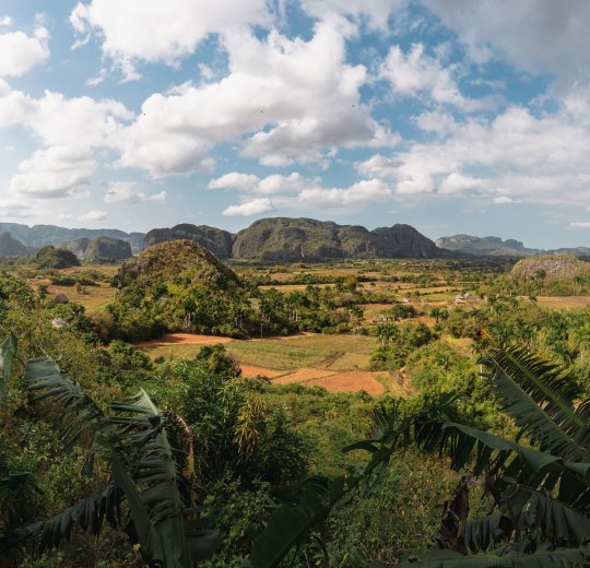 Туры на Кубу 2025 из Москвы - цена на отдых от туроператора «Пегас Туристик» Туры на Кубу 2025 из Москвы - цена на отдых от туроператора «Пегас Туристик»