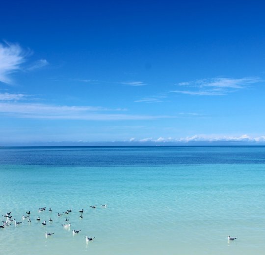 Туры в Варадеро 2025 - цены на путевки на Кубу из Москвы от туроператора «Пегас Туристик» Туры в Варадеро 2025 - цены на путевки на Кубу из Москвы от туроператора «Пегас Туристик»