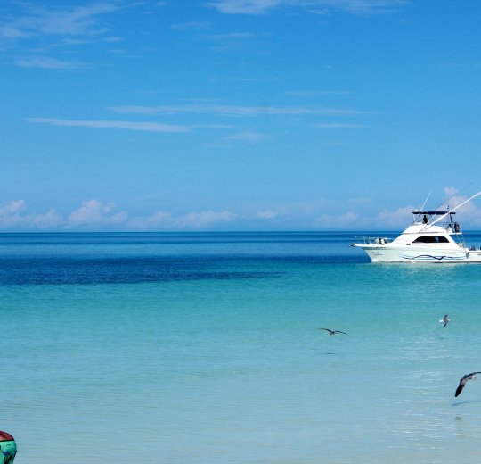 Туры в Варадеро 2025 - цены на путевки на Кубу из Москвы от туроператора «Пегас Туристик» Туры в Варадеро 2025 - цены на путевки на Кубу из Москвы от туроператора «Пегас Туристик»