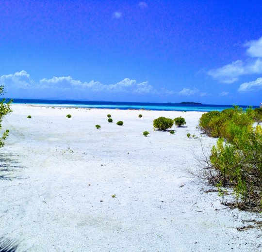 Туры в Варадеро 2025 - цены на путевки на Кубу из Москвы от туроператора «Пегас Туристик» Туры в Варадеро 2025 - цены на путевки на Кубу из Москвы от туроператора «Пегас Туристик»