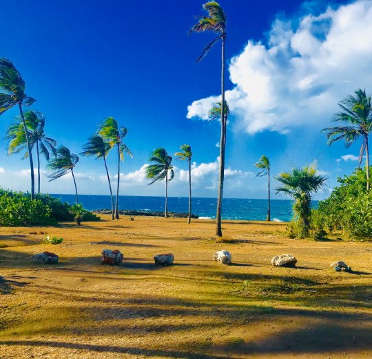 Туры на о. Кайо Гильермо 2025 - цены на путевки на Кубу из Москвы от туроператора «Пегас Туристик» Туры на о. Кайо Гильермо 2025 - цены на путевки на Кубу из Москвы от туроператора «Пегас Туристик»