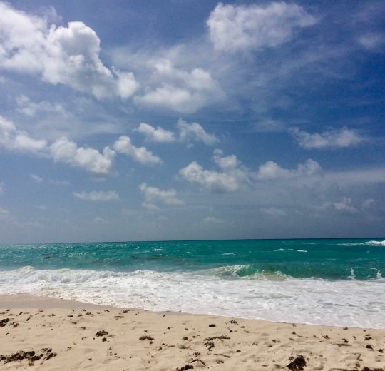 Туры на о. Кайо Ларго 2025 - цены на путевки на Кубу из Москвы от туроператора «Пегас Туристик»