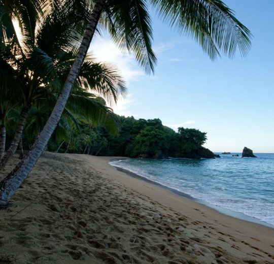 Туры в Тринидад 2025 - цены на путевки на Кубу из Москвы от туроператора «Пегас Туристик» Туры в Тринидад 2025 - цены на путевки на Кубу из Москвы от туроператора «Пегас Туристик»