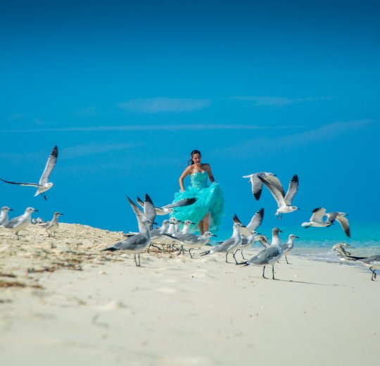 Туры на о. Кайо Коко 2025 - цены на путевки на Кубу из Москвы от туроператора «Пегас Туристик» Туры на о. Кайо Коко 2025 - цены на путевки на Кубу из Москвы от туроператора «Пегас Туристик»