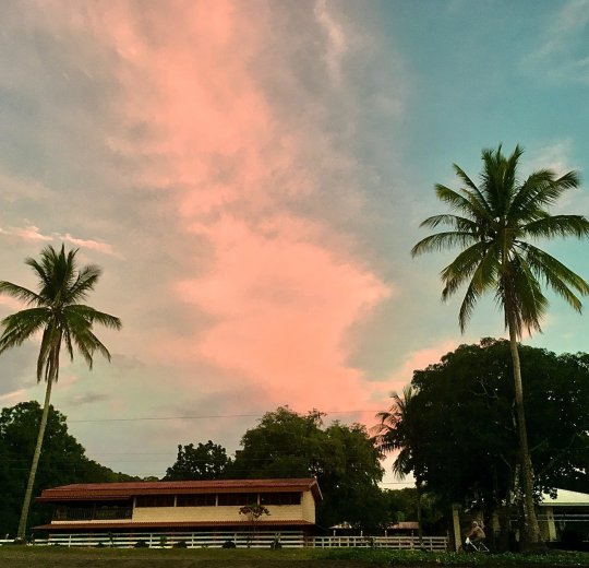 Туры на о. Кайо Коко 2025 - цены на путевки на Кубу из Москвы от туроператора «Пегас Туристик» Туры на о. Кайо Коко 2025 - цены на путевки на Кубу из Москвы от туроператора «Пегас Туристик»