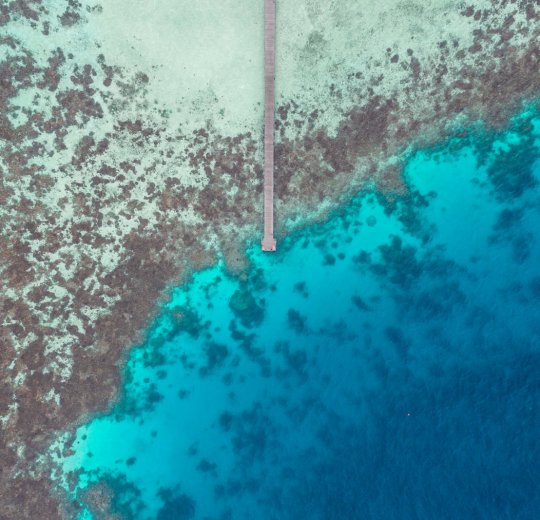 Туры на о. Кайо Коко 2025 - цены на путевки на Кубу из Москвы от туроператора «Пегас Туристик» Туры на о. Кайо Коко 2025 - цены на путевки на Кубу из Москвы от туроператора «Пегас Туристик»