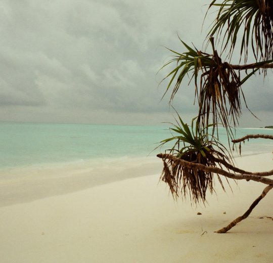 Туры на Мальдивы 2025 из Москвы - цена на отдых от туроператора «Пегас Туристик» Туры на Мальдивы 2025 из Москвы - цена на отдых от туроператора «Пегас Туристик»