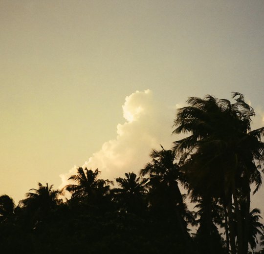 Туры на Мальдивы 2025 из Москвы - цена на отдых от туроператора «Пегас Туристик» Туры на Мальдивы 2025 из Москвы - цена на отдых от туроператора «Пегас Туристик»