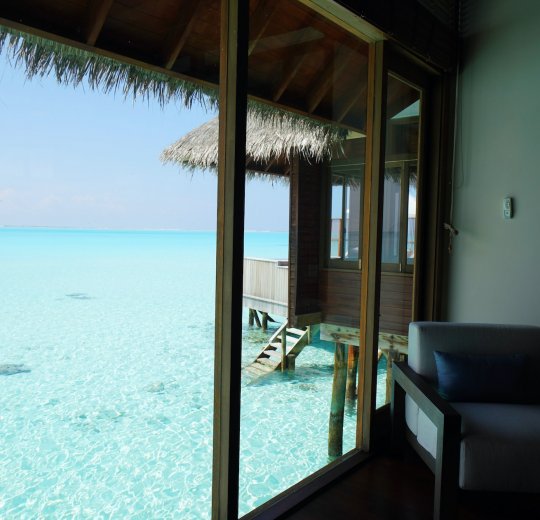 Туры на Ари Атолл 2025 - цены на путевки на Мальдивы из Москвы от туроператора «Пегас Туристик»