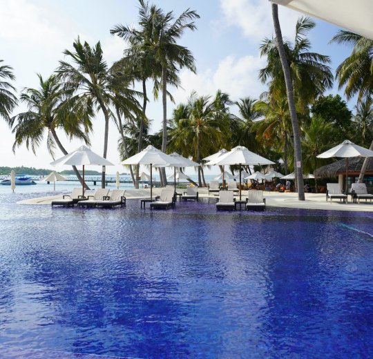 Туры на Ари Атолл 2025 - цены на путевки на Мальдивы из Москвы от туроператора «Пегас Туристик»