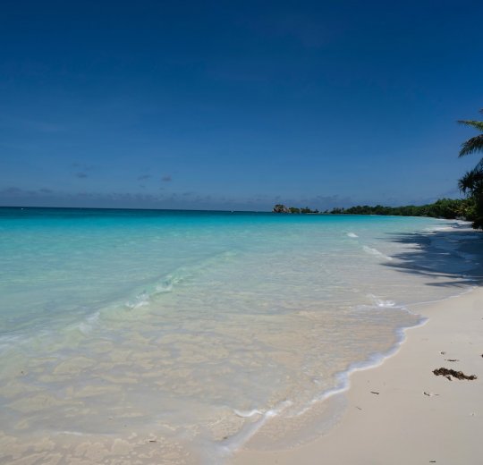 Туры на Ари Атолл 2025 - цены на путевки на Мальдивы из Москвы от туроператора «Пегас Туристик»