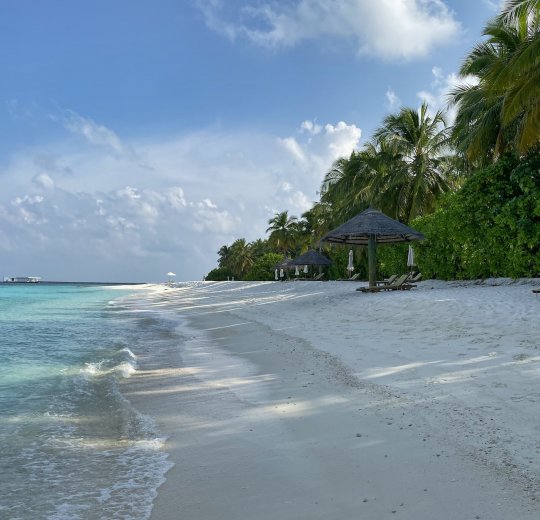 Туры на Баа Атолл 2025 - цены на путевки на Мальдивы из Москвы от туроператора «Пегас Туристик»