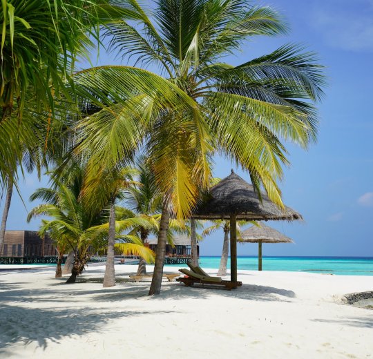 Туры на Лааму Атолл 2025 - цены на путевки на Мальдивы из Москвы от туроператора «Пегас Туристик» Туры на Лааму Атолл 2025 - цены на путевки на Мальдивы из Москвы от туроператора «Пегас Туристик»