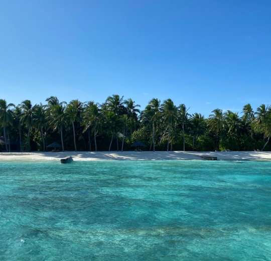 Туры на Лавияни Атолл 2025 - цены на путевки на Мальдивы из Москвы от туроператора «Пегас Туристик»