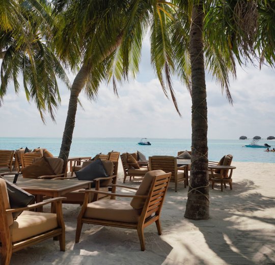 Туры на Лавияни Атолл 2025 - цены на путевки на Мальдивы из Москвы от туроператора «Пегас Туристик»