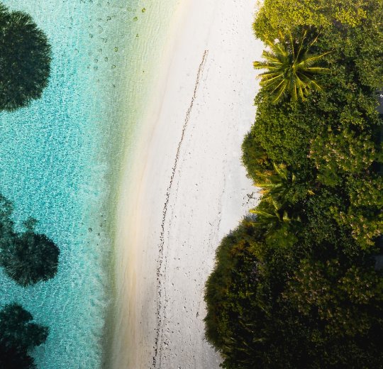 Туры на Лавияни Атолл 2025 - цены на путевки на Мальдивы из Москвы от туроператора «Пегас Туристик»