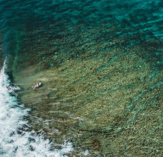 Туры на Лавияни Атолл 2025 - цены на путевки на Мальдивы из Москвы от туроператора «Пегас Туристик»