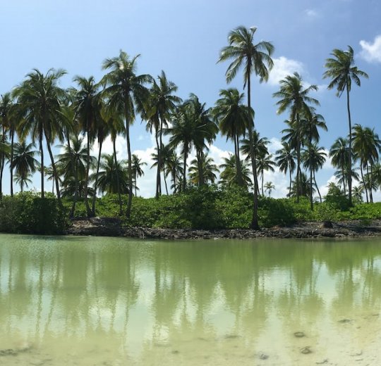 Туры на Адду (Сину, Сеену) Атолл 2025 - цены на путевки на Мальдивы из Москвы от туроператора «Пегас Туристик» Туры на Адду (Сину, Сеену) Атолл 2025 - цены на путевки на Мальдивы из Москвы от туроператора «Пегас Туристик»