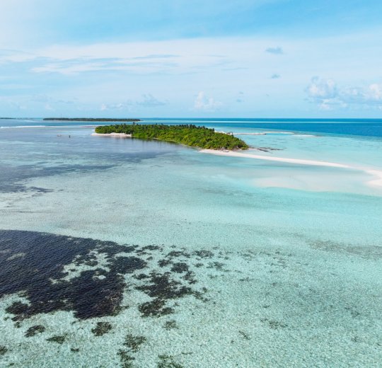 Туры на Гаафу Даалу Атолл 2025 - цены на путевки на Мальдивы из Москвы от туроператора «Пегас Туристик»