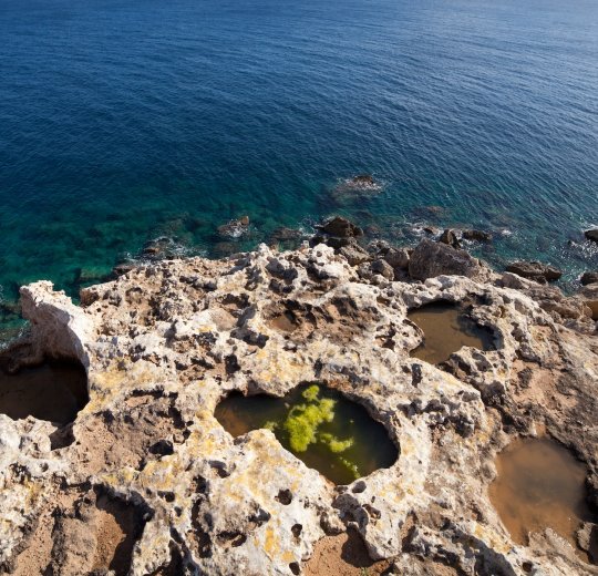 Туры в Аура 2025 - цены на путевки на Мальту из Москвы от туроператора «Пегас Туристик» Туры в Аура 2025 - цены на путевки на Мальту из Москвы от туроператора «Пегас Туристик»