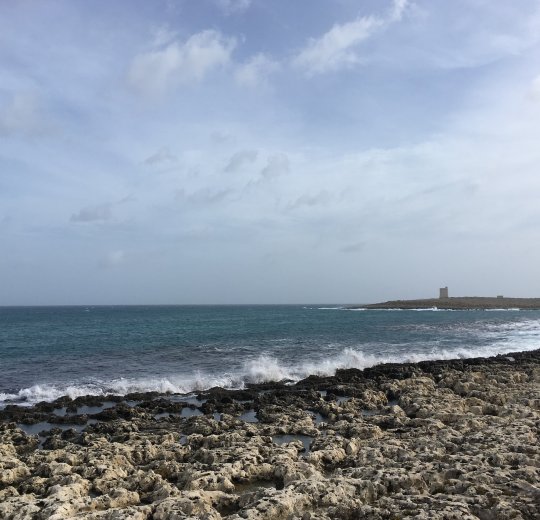 Туры в Буджиббу 2025 - цены на путевки на Мальту из Москвы от туроператора «Пегас Туристик» Туры в Буджиббу 2025 - цены на путевки на Мальту из Москвы от туроператора «Пегас Туристик»