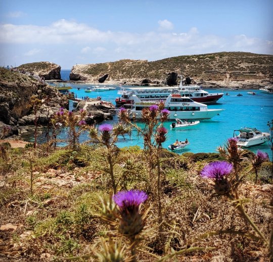 Туры в Сан-Джулианс Бэй 2025 - цены на путевки на Мальту из Москвы от туроператора «Пегас Туристик» Туры в Сан-Джулианс Бэй 2025 - цены на путевки на Мальту из Москвы от туроператора «Пегас Туристик»