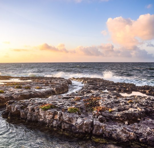 Туры на Ривьеру Майю 2025 - цены на путевки в Мексику из Москвы от туроператора «Пегас Туристик» Туры на Ривьеру Майю 2025 - цены на путевки в Мексику из Москвы от туроператора «Пегас Туристик»