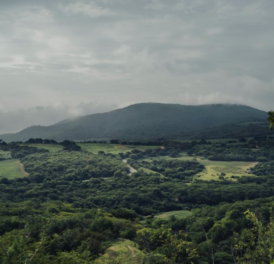 Туры в Морелос 2025 - цены на путевки в Мексику из Москвы от туроператора «Пегас Туристик» Туры в Морелос 2025 - цены на путевки в Мексику из Москвы от туроператора «Пегас Туристик»