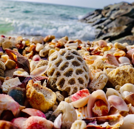 Туры в Аджман 2025 - цены на путевки в ОАЭ из Москвы от туроператора «Пегас Туристик» Туры в Аджман 2025 - цены на путевки в ОАЭ из Москвы от туроператора «Пегас Туристик»