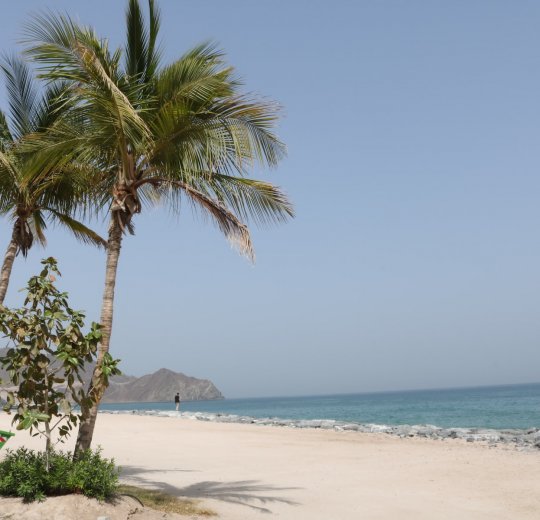 Туры в Корфаккан 2025 - цены на путевки в ОАЭ из Москвы от туроператора «Пегас Туристик» Туры в Корфаккан 2025 - цены на путевки в ОАЭ из Москвы от туроператора «Пегас Туристик»