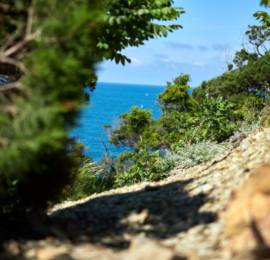 Туры в Геленджик 2025 - цены на путевки по России из Москвы от туроператора «Пегас Туристик» Туры в Геленджик 2025 - цены на путевки по России из Москвы от туроператора «Пегас Туристик»