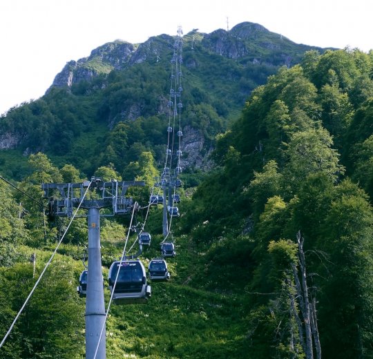 Туры в Дагомыс 2025 - цены на путевки по России из Москвы от туроператора «Пегас Туристик»